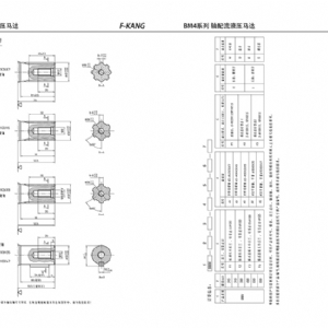 BM4系列擺線液壓馬達(dá)