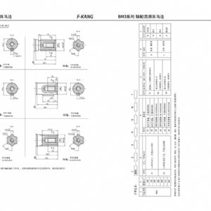 BM3系列擺線(xiàn)液壓馬達(dá)